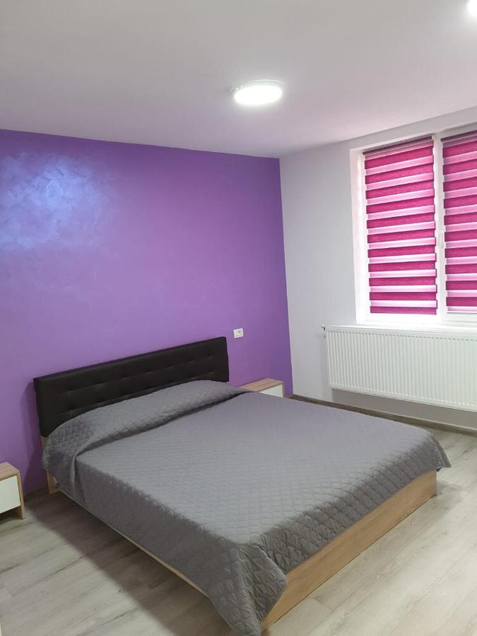 Apartament Negris Bîrlad Exterior foto